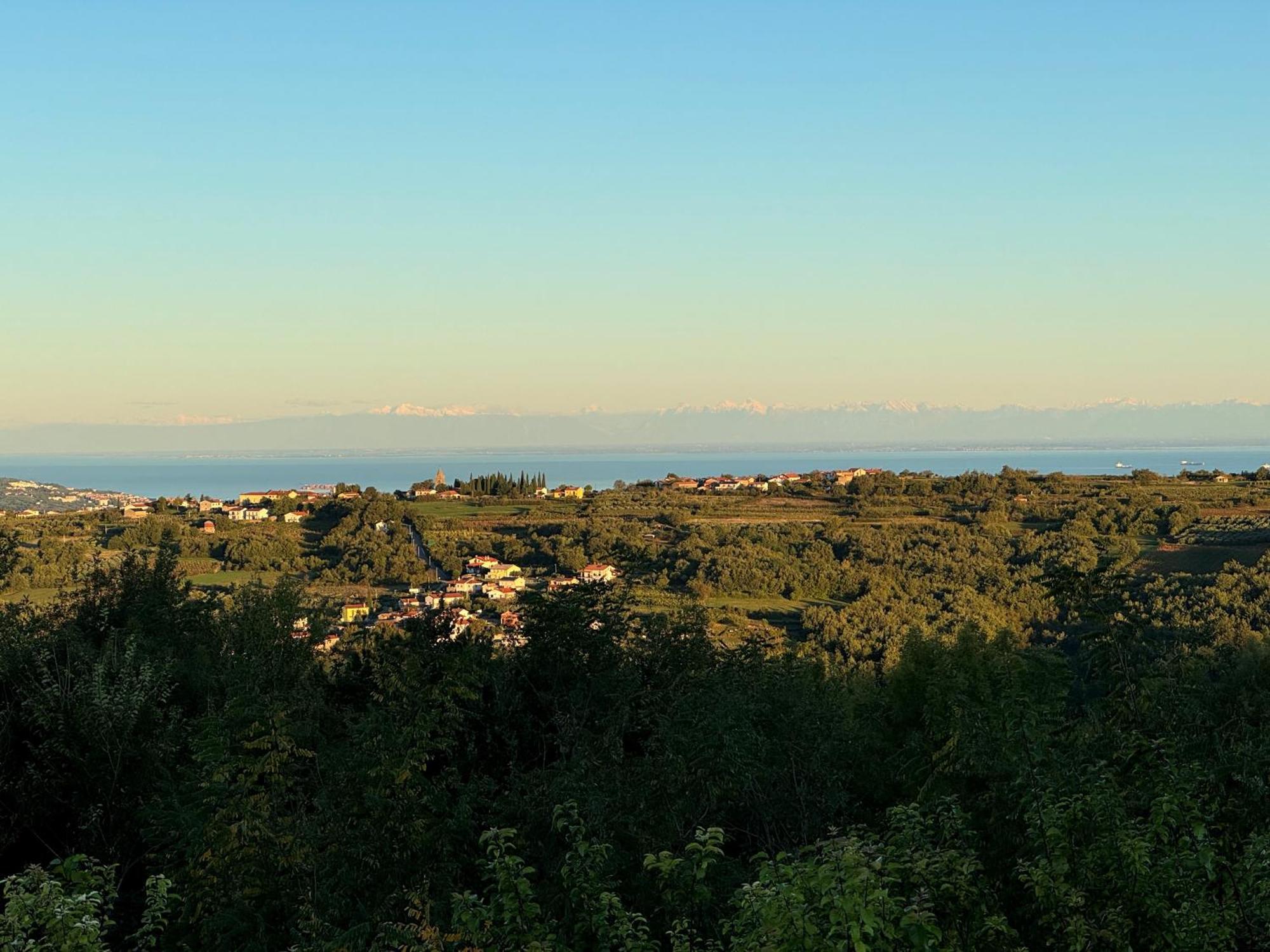 Guesthouse Green Istria Truške Exteriér fotografie